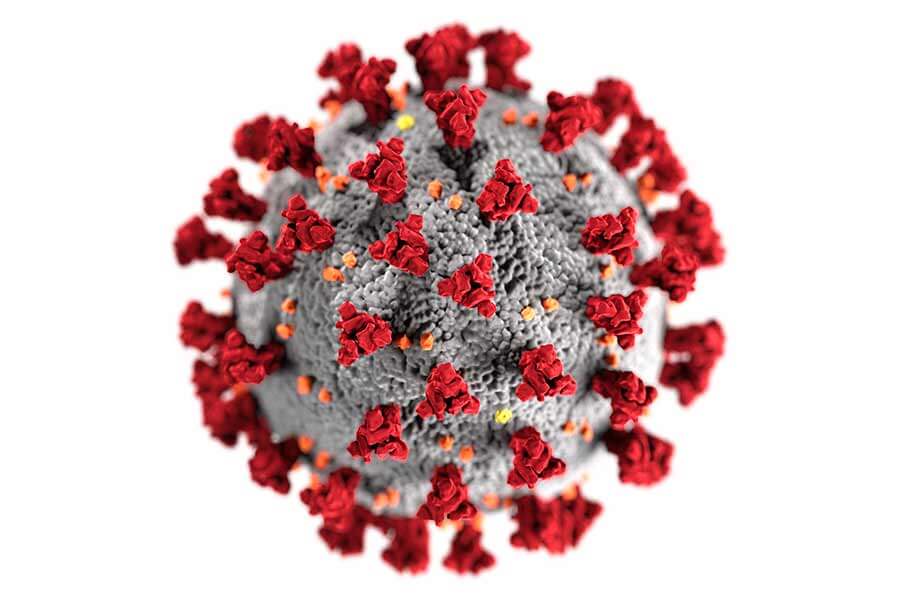 coronavirus