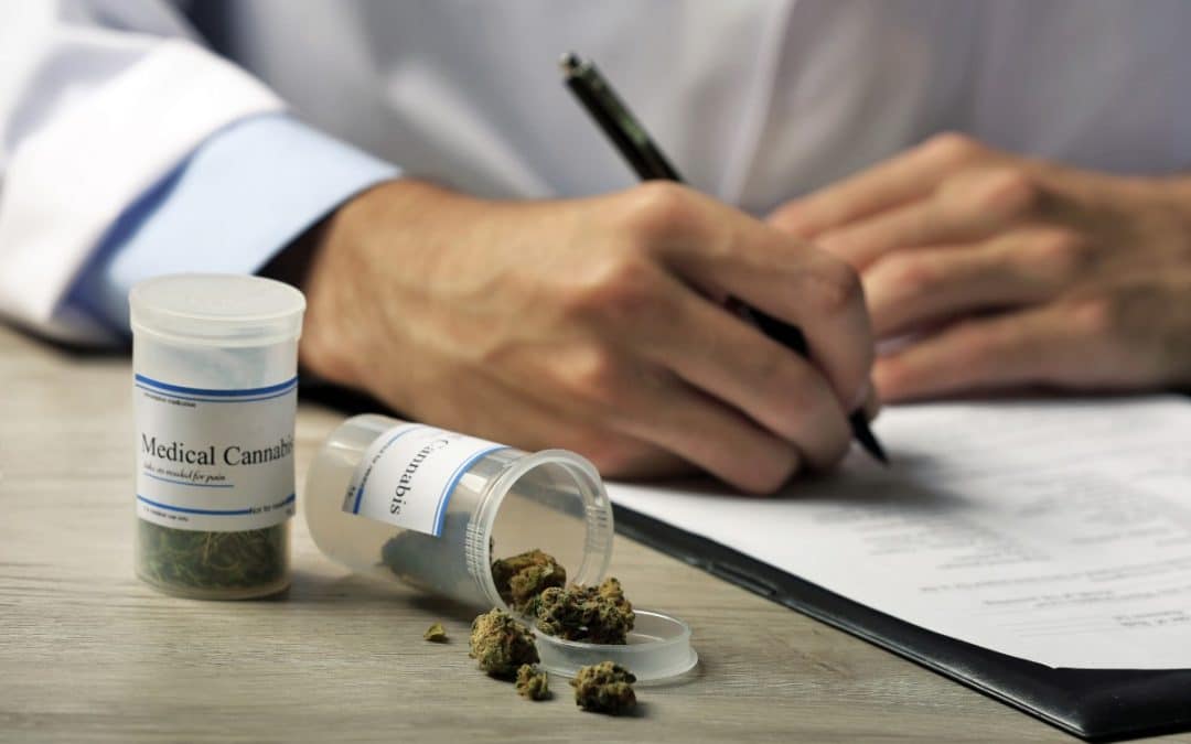 Cannabis médical en France : où en est l’expérimentation ?